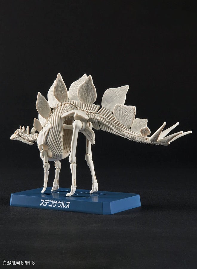 BANDAI SPIRITS Bandai Hobby - Plannosaurus - #03 Stegosaurus, Bandai Spirits Dinosaur Model Kit - Image 5